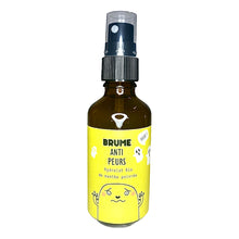 Charger l'image dans la galerie, Brume magique - Anti peurs